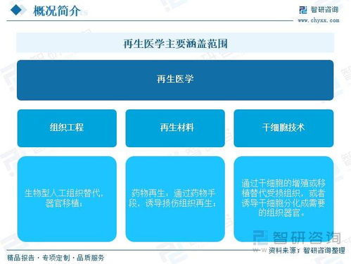 再生醫(yī)學行業(yè)前景如何 先進醫(yī)療技術需求增長,全球市場規(guī)模加速擴容